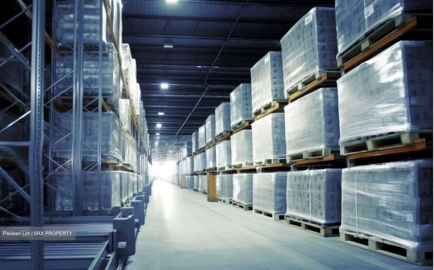 West Park Bizcentral (D22), Warehouse #573918661